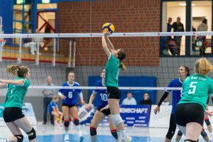 volleyball sv bad laer braunschweig  
