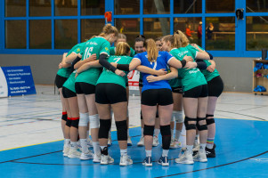 volleyball sv bad laer braunschweig  