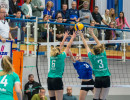 volleyball sv bad laer braunschweig  