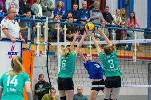 volleyball sv bad laer braunschweig  