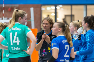 volleyball sv bad laer braunschweig  