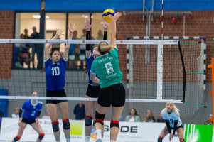 volleyball sv bad laer braunschweig  