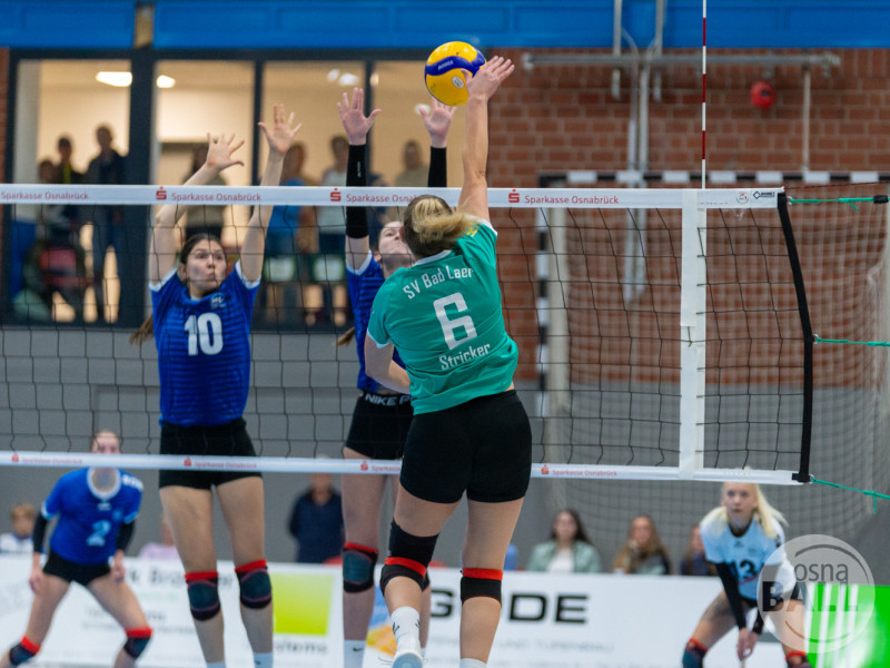 volleyball sv bad laer braunschweig  