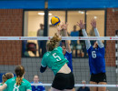 volleyball sv bad laer braunschweig  