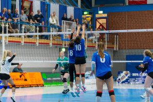 volleyball sv bad laer braunschweig  