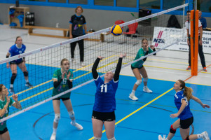 volleyball sv bad laer braunschweig  
