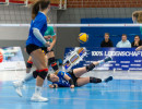 volleyball sv bad laer braunschweig  