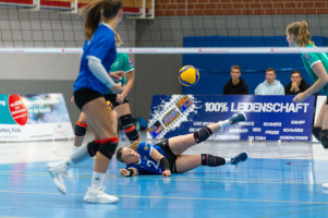 volleyball sv bad laer braunschweig  