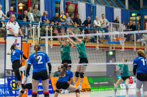 volleyball sv bad laer braunschweig  