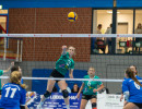 volleyball sv bad laer braunschweig  