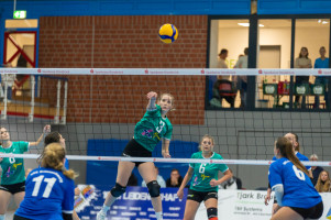 volleyball sv bad laer braunschweig  