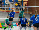 volleyball sv bad laer braunschweig  