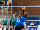 volleyball sv bad laer braunschweig  