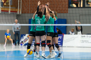 volleyball sv bad laer braunschweig  