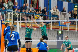 volleyball sv bad laer braunschweig  