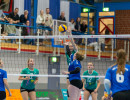 volleyball sv bad laer braunschweig  