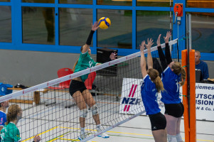 volleyball sv bad laer braunschweig  