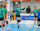 volleyball sv bad laer braunschweig  