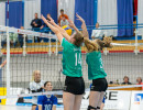 volleyball sv bad laer braunschweig  