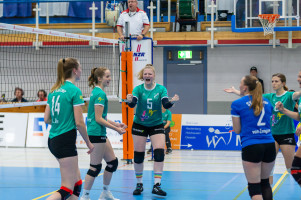 volleyball sv bad laer braunschweig  