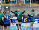 volleyball sv bad laer braunschweig  