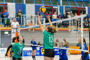 volleyball sv bad laer braunschweig  