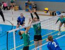 volleyball sv bad laer braunschweig  
