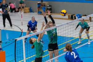 volleyball sv bad laer braunschweig  
