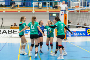 volleyball sv bad laer braunschweig  