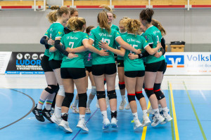volleyball sv bad laer braunschweig  
